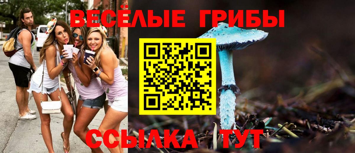Шебекино  Галлюциногенные грибы Psilocybine cubensis  Вход с VPN  где можно купить наркотик  Псилоцибиновые грибы прущие грибы 